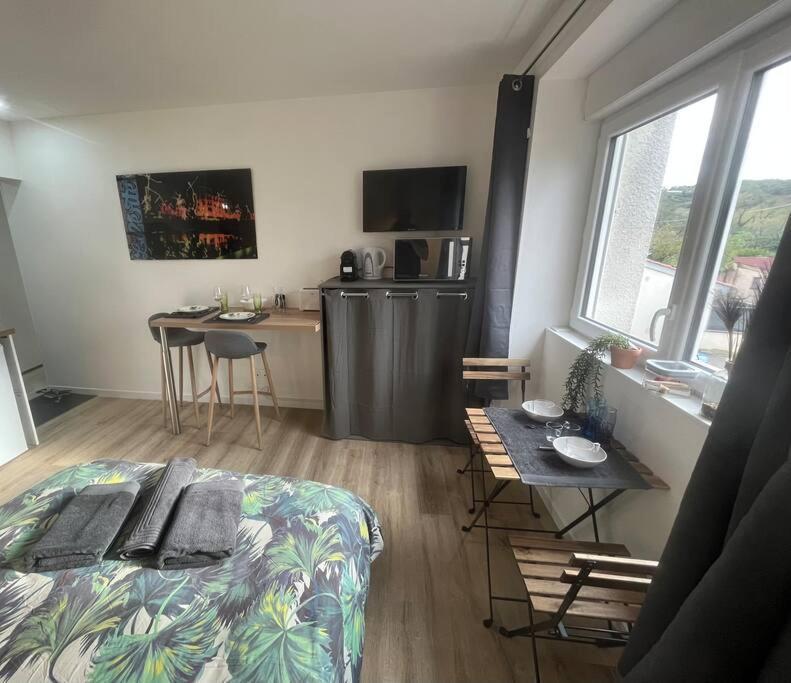 Appartamento Verdi Cosy Au Calme Parking Gratuit Chasse-sur-Rhône
