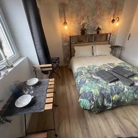 Verdi Studio Cosy Au Calme Parking Gratuit Chasse-sur-Rhône Exterior foto