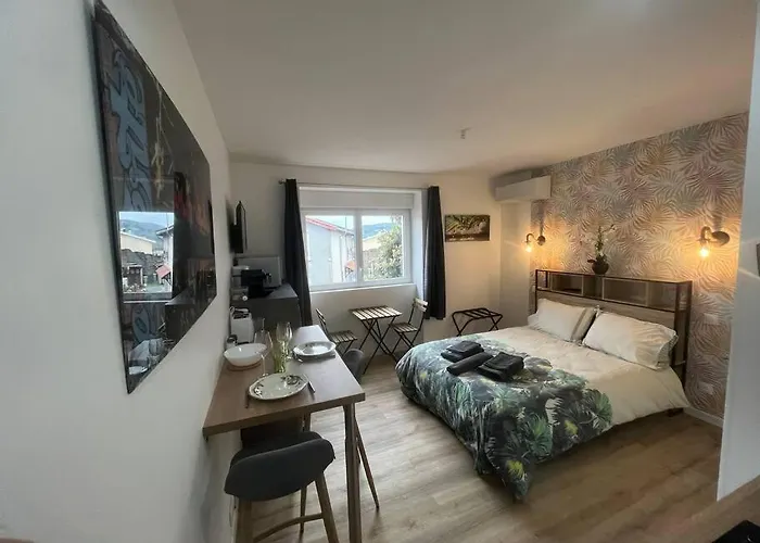 Verdi Studio Cosy Au Calme Parking Gratuit