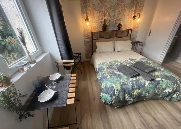 Verdi Studio Cosy Au Calme Parking Gratuit